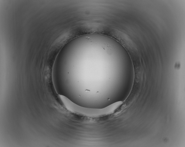 X0000097510077200802221517