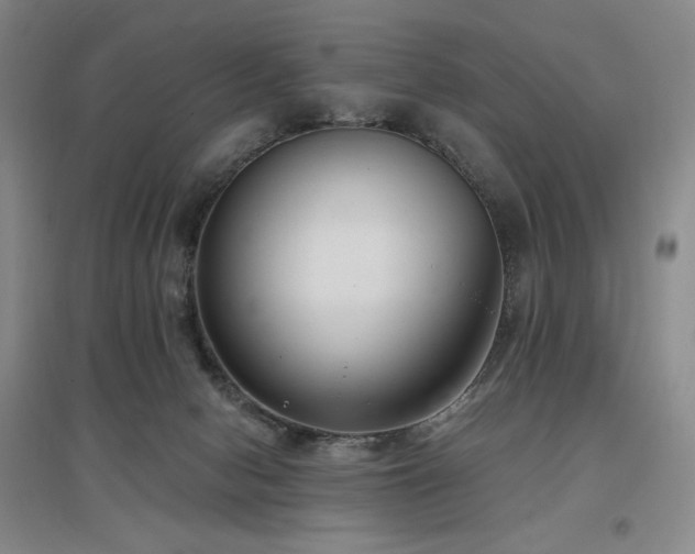 X0000097510078200802221517