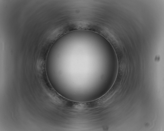 X0000097510079200802221517
