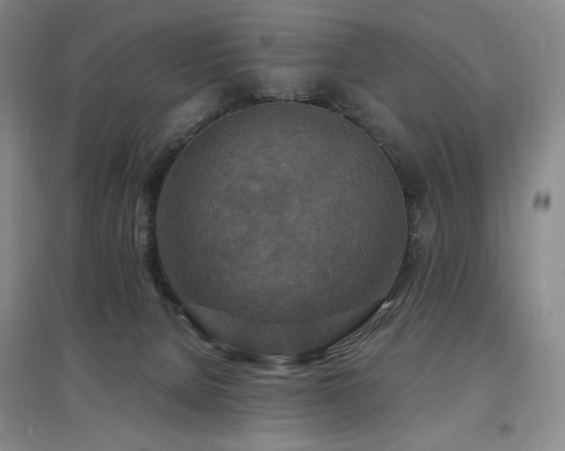 X0000097510080200802221517