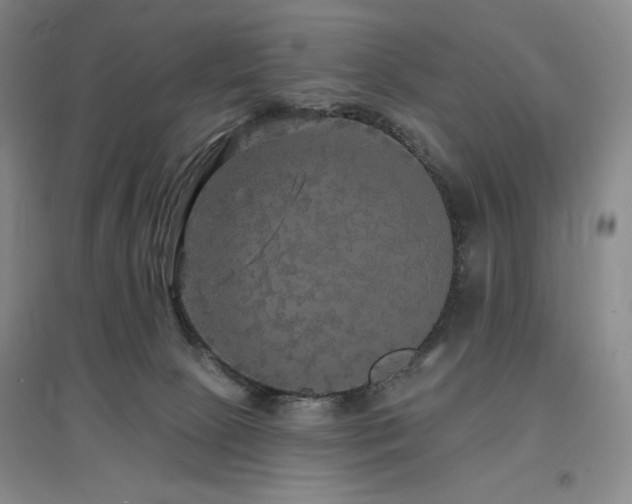 X0000097510081200802221517
