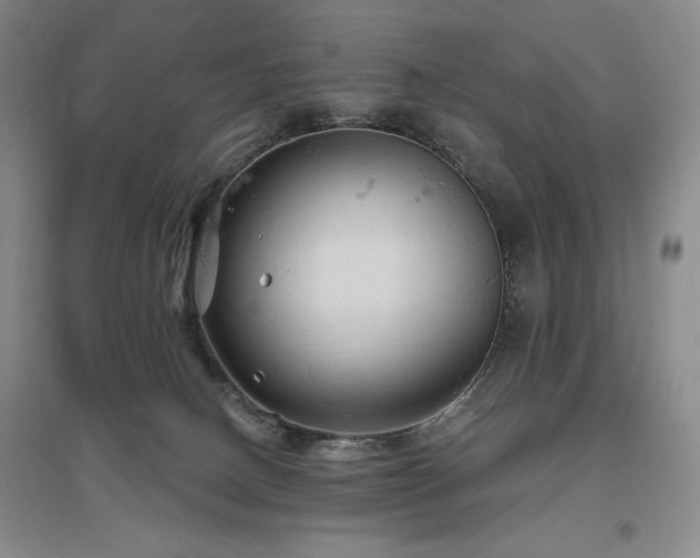 X0000097510082200802221517