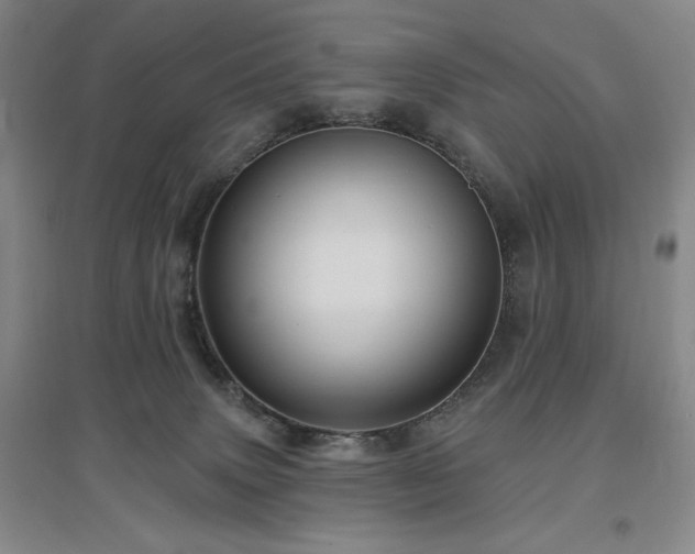 X0000097510083200802221517