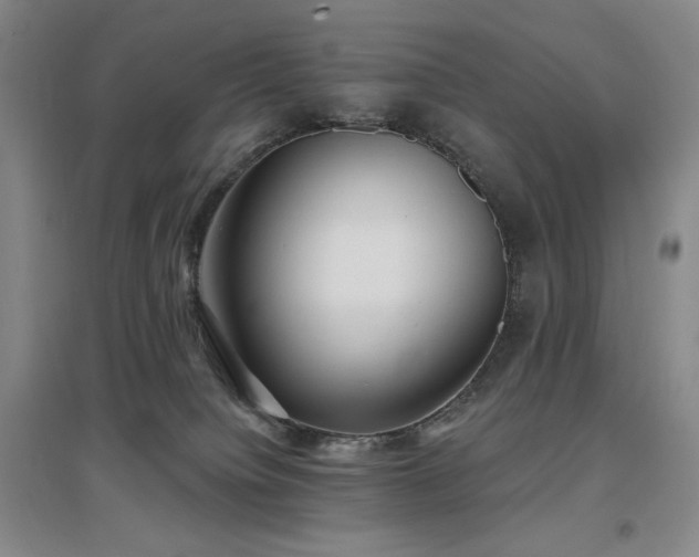 X0000097510084200802221517