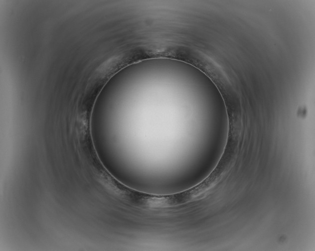 X0000097510085200802221517