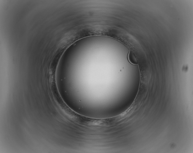 X0000097510086200802221517