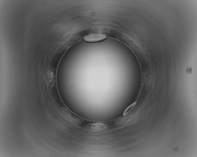 X0000097510087200802221517