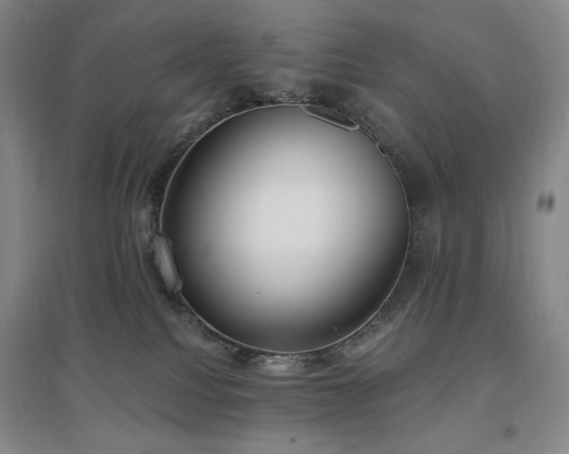 X0000097510088200802221517