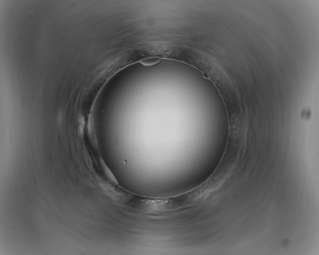 X0000097510089200802221517
