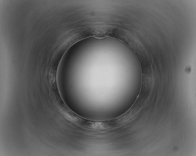 X0000097510091200802221517