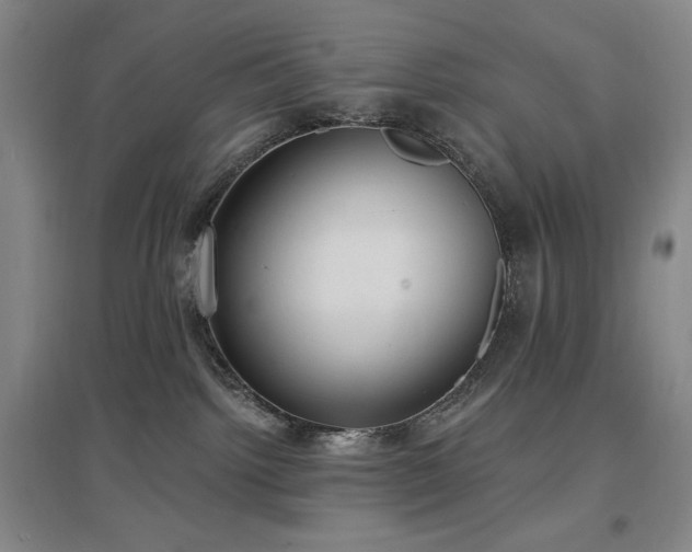 X0000097510092200802221517