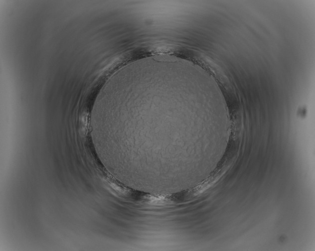X0000097510093200802221517