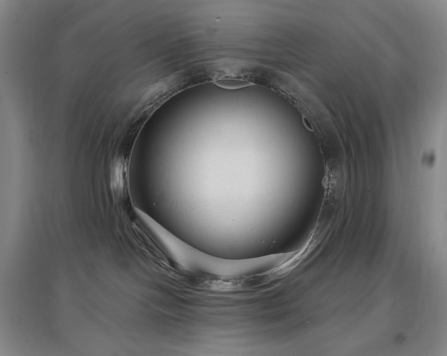 X0000097510094200802221517