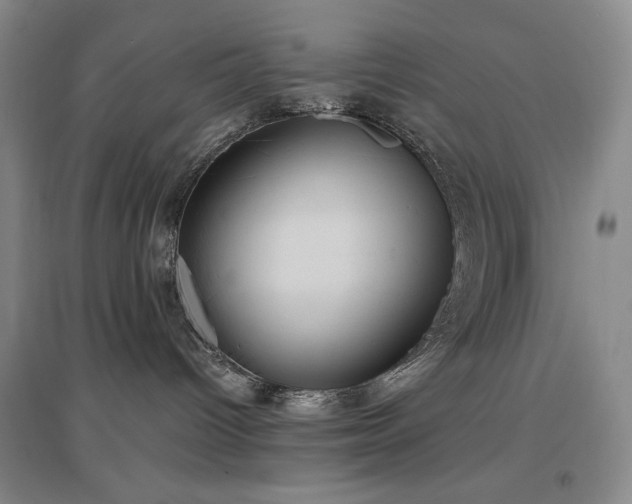 X0000097510096200802221517