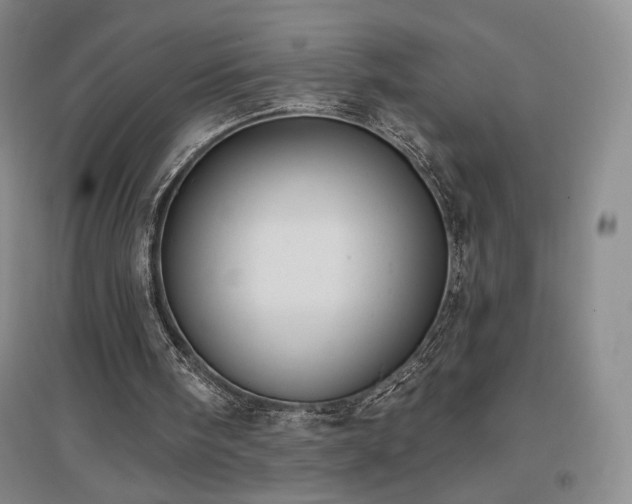 X0000097510098200802221516