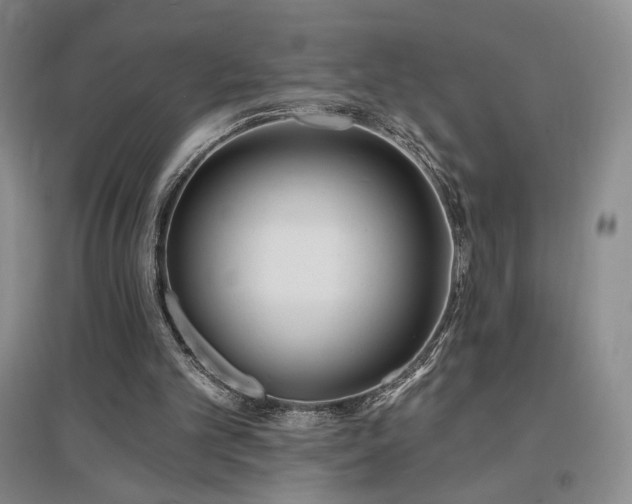 X0000097510101200802221516