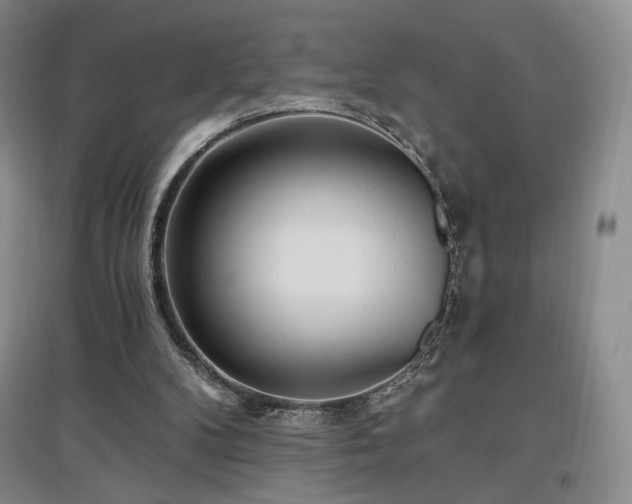 X0000097510104200802221516