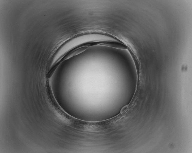 X0000097510105200802221516
