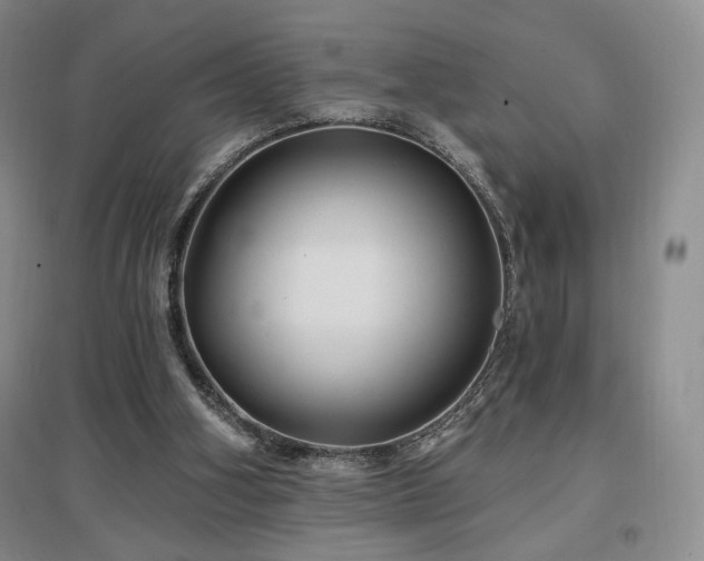 X0000097510106200802221516