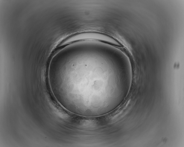 X0000097510107200802221516