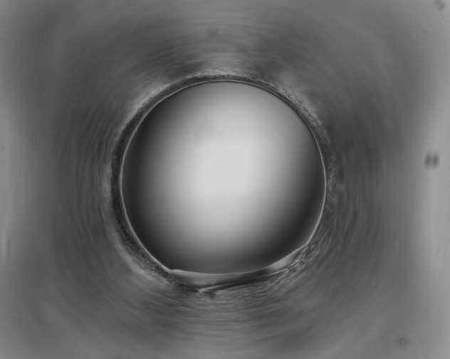 X0000097510108200802221516
