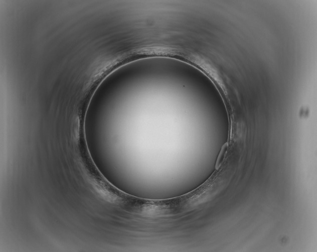 X0000097510109200802221516