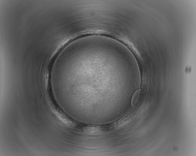 X0000097510110200802221516