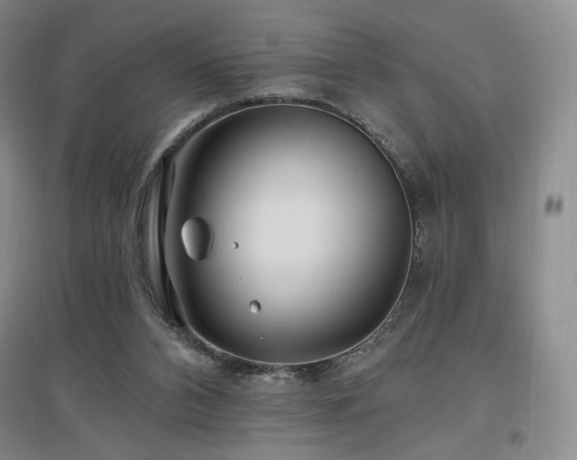 X0000097510112200802221516
