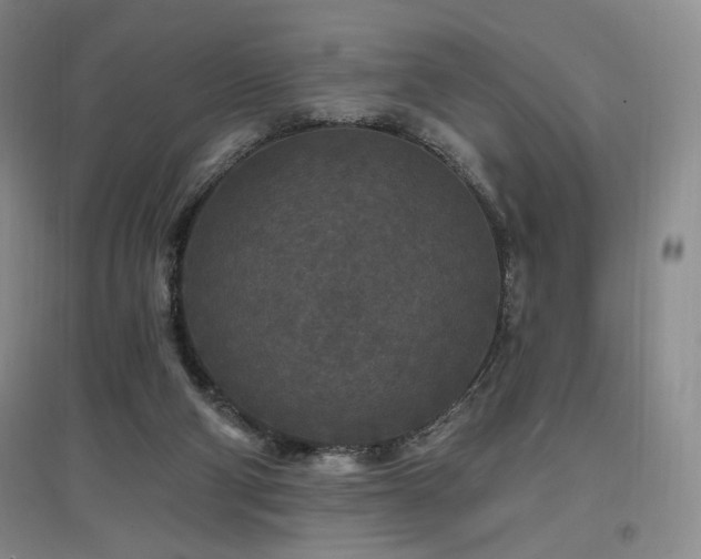 X0000097510114200802221516
