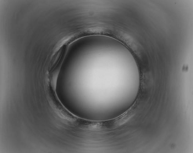X0000097510116200802221516