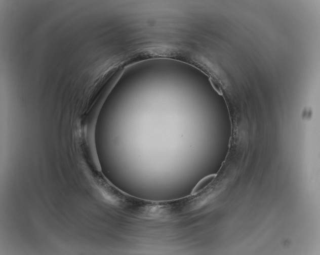 X0000097510117200802221516