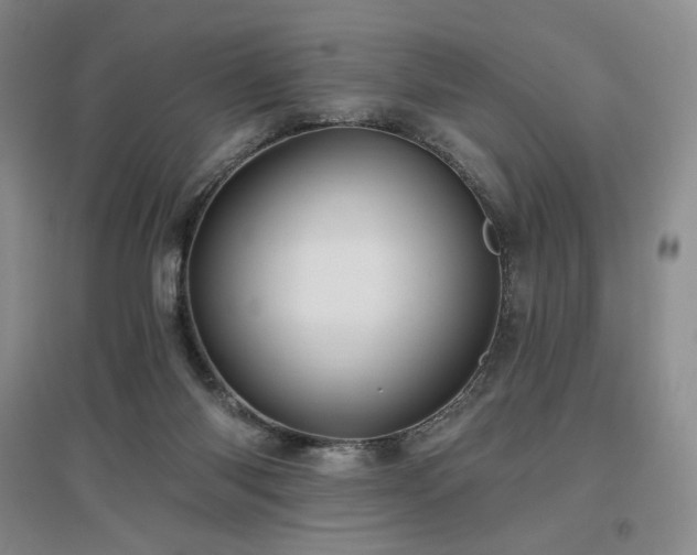 X0000097510118200802221516