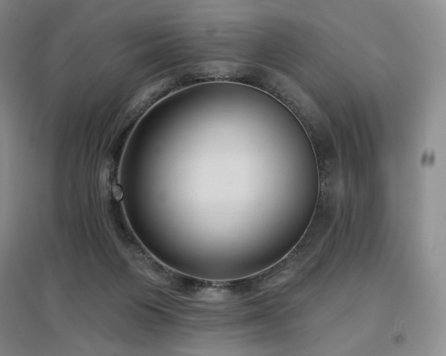 X0000097510119200802221516