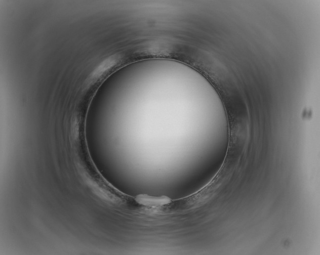 X0000097510120200802221516