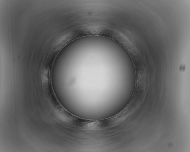 X0000097510122200802221516