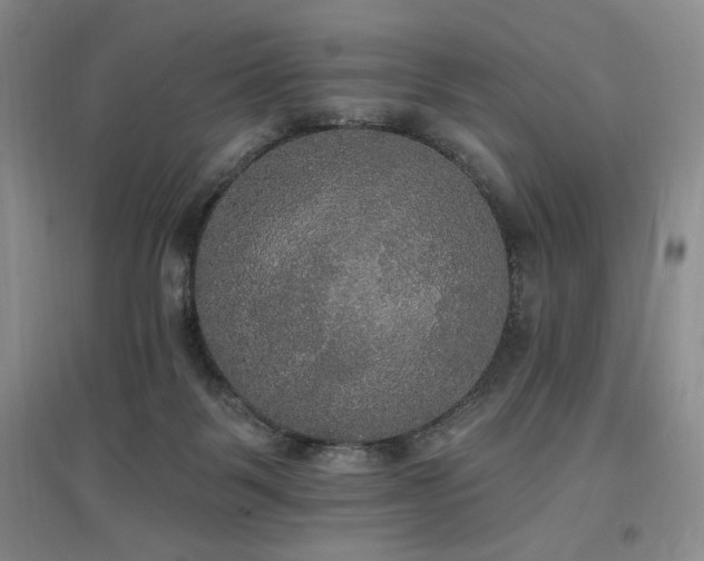 X0000097510123200802221516