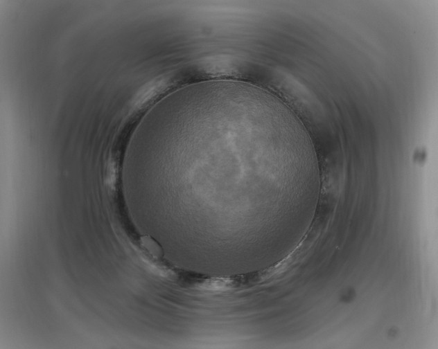 X0000097510124200802221516