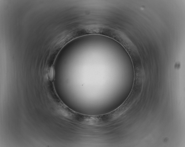 X0000097510125200802221516