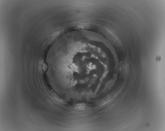 X0000097510127200802221516