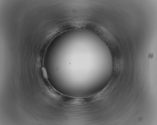 X0000097510128200802221516