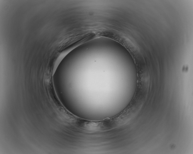 X0000097510129200802221516