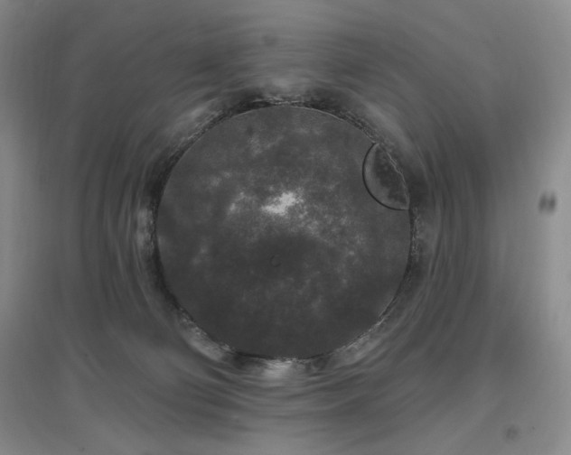 X0000097510130200802221516
