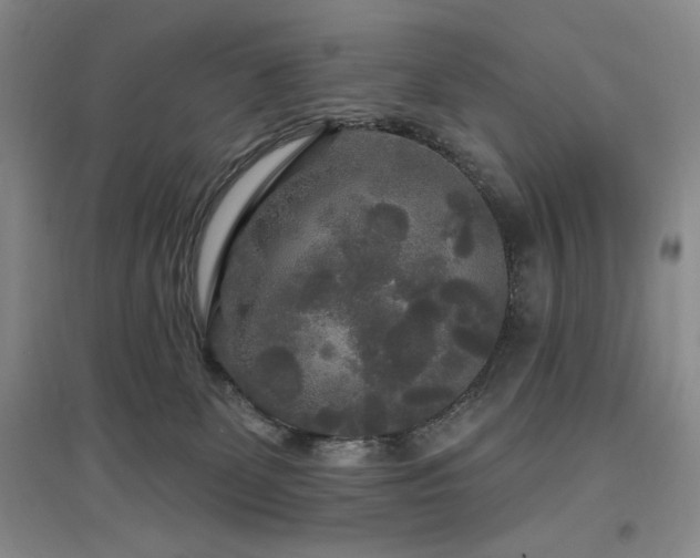 X0000097510131200802221516