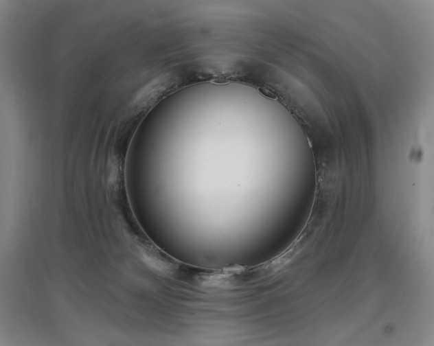 X0000097510132200802221516