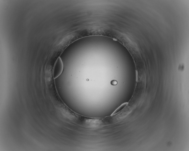 X0000097510133200802221516