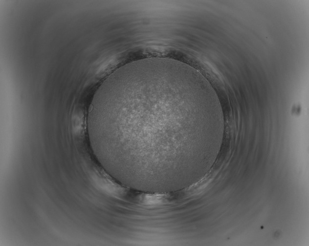 X0000097510134200802221515