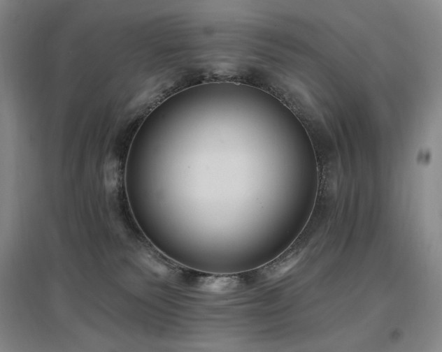 X0000097510135200802221515