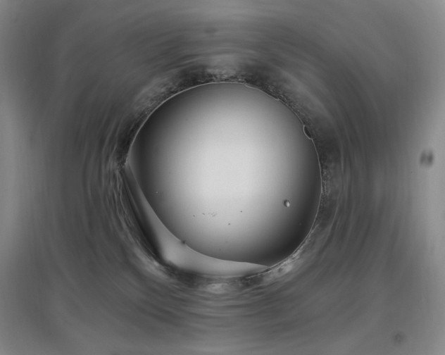 X0000097510136200802221515