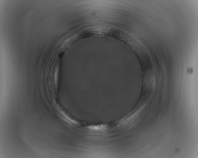 X0000097510137200802221515