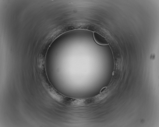 X0000097510138200802221515